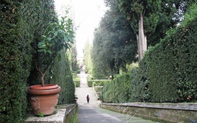 Сады Италии